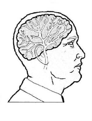 brainbiglong.jpg